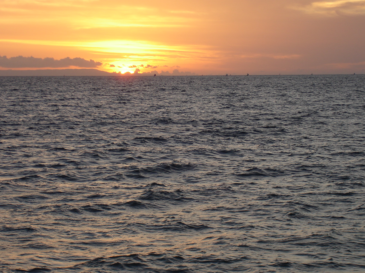 Mijn opa en de dood (1887-1973)